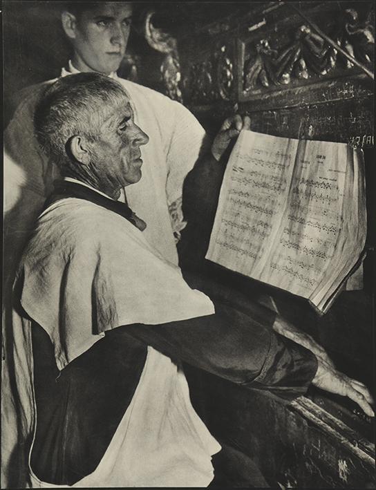 Organista de Turégano 