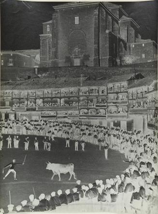 Toros en Chinchón