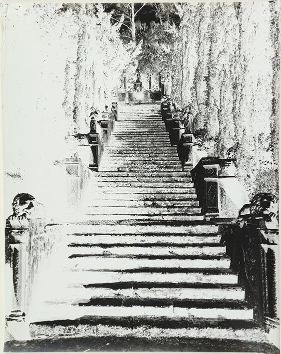 Escalera en el jardín